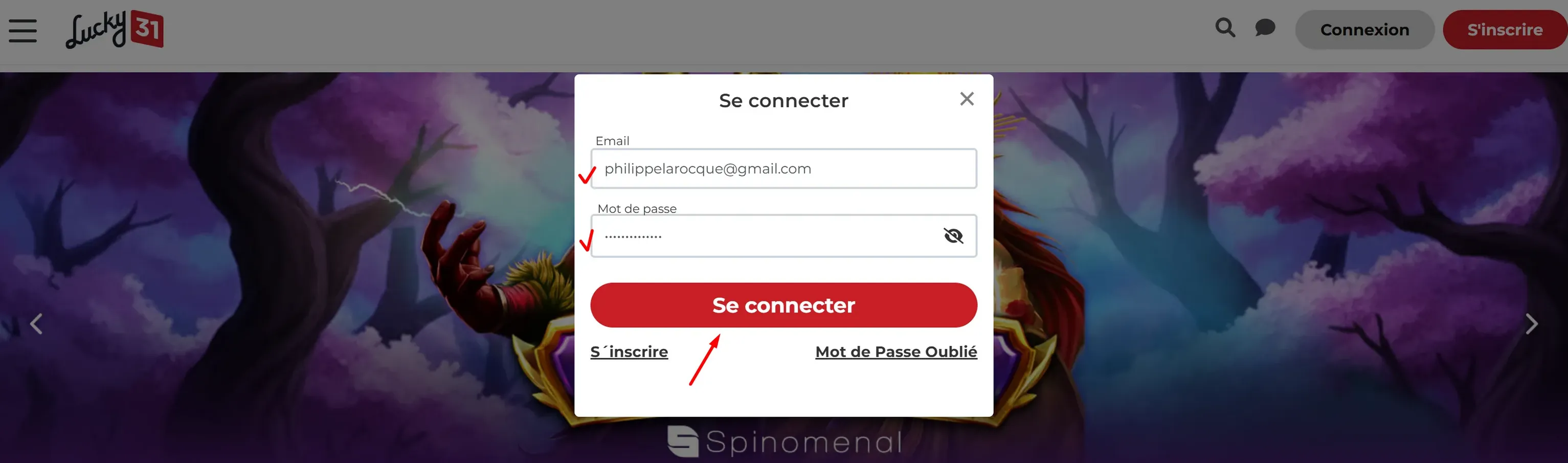 Formulaire de connexion Lucky31 avec champs email et mot de passe